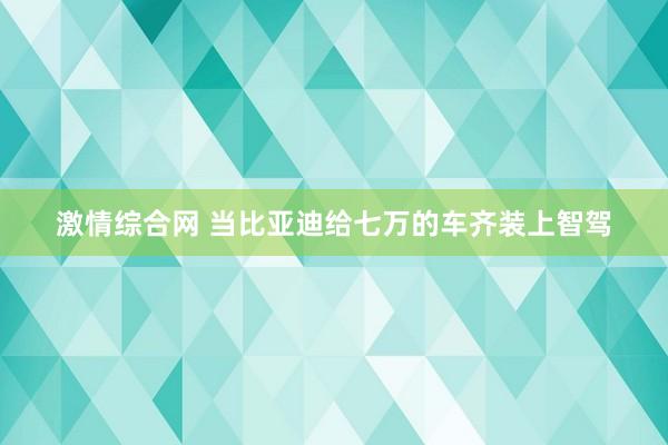 激情综合网 当比亚迪给七万的车齐装上智驾