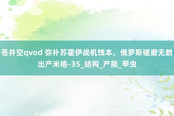 苍井空qvod 弥补苏霍伊战机蚀本，俄罗斯磋磨无数出产米格-35_结构_产能_甲虫