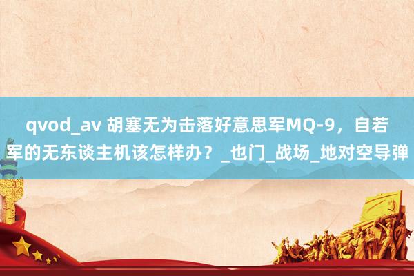 qvod_av 胡塞无为击落好意思军MQ-9，自若军的无东谈主机该怎样办？_也门_战场_地对空导弹