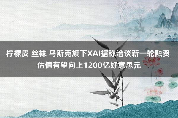 柠檬皮 丝袜 马斯克旗下XAI据称洽谈新一轮融资 估值有望向上1200亿好意思元