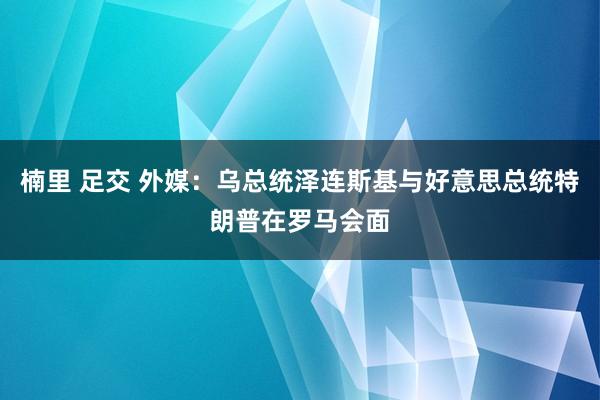 楠里 足交 外媒：乌总统泽连斯基与好意思总统特朗普在罗马会面