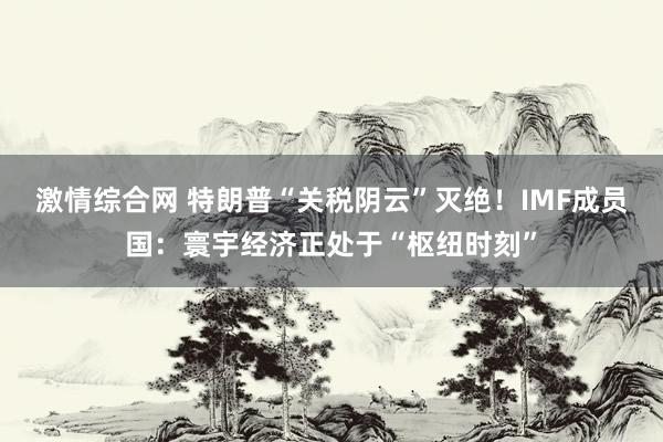 激情综合网 特朗普“关税阴云”灭绝！IMF成员国：寰宇经济正处于“枢纽时刻”