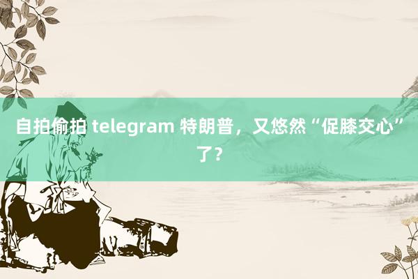 自拍偷拍 telegram 特朗普，又悠然“促膝交心”了？